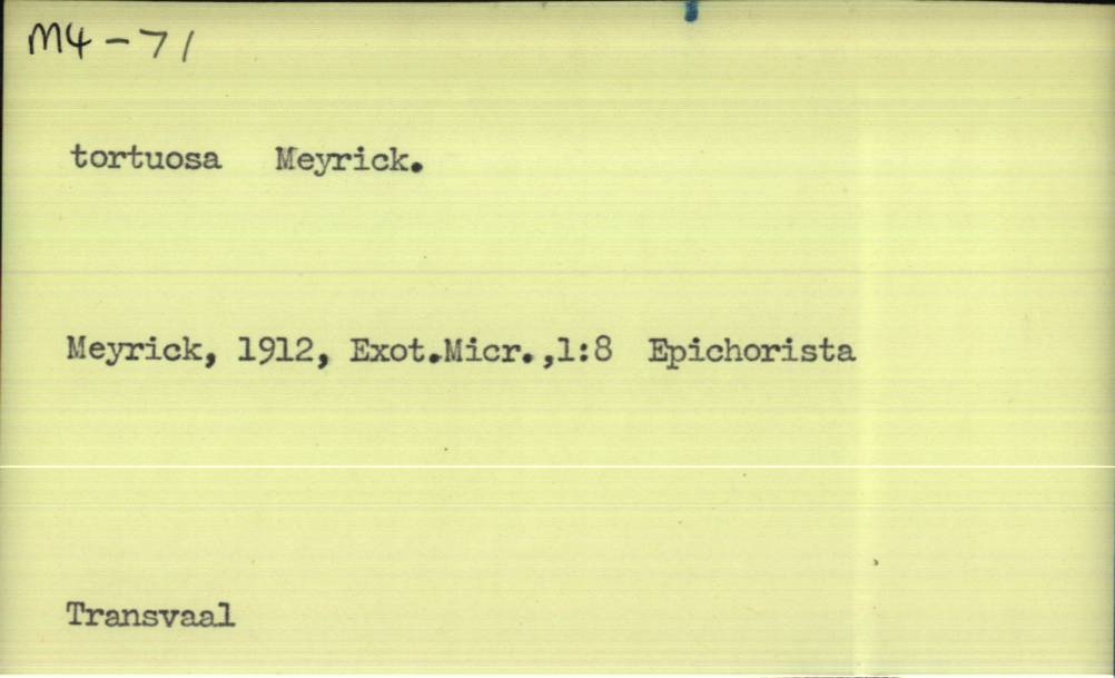 front of card